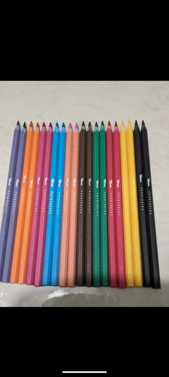 Lot de 20 crayons de couleur Pichon.