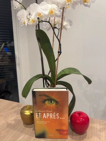 Et apres - Guillaume Musso