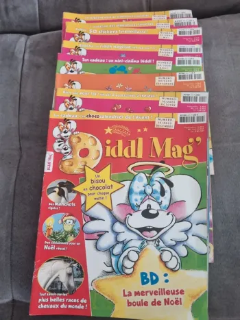 Lot magasines diddls