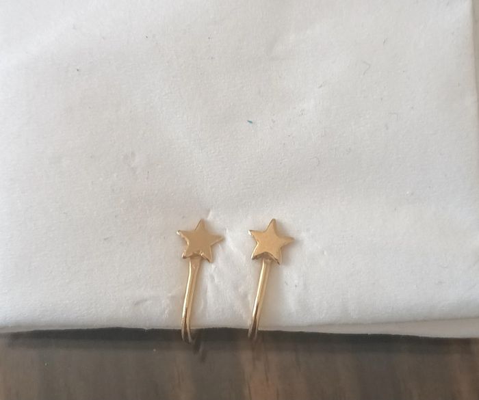 Boucles d oreilles ou de narine