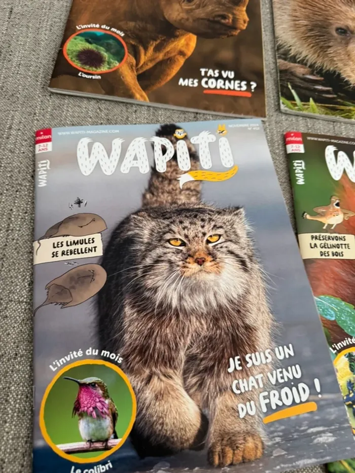 Lot 6 magasines wapiti - photo numéro 3