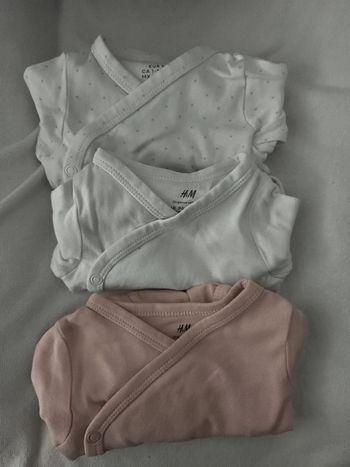 Bodies