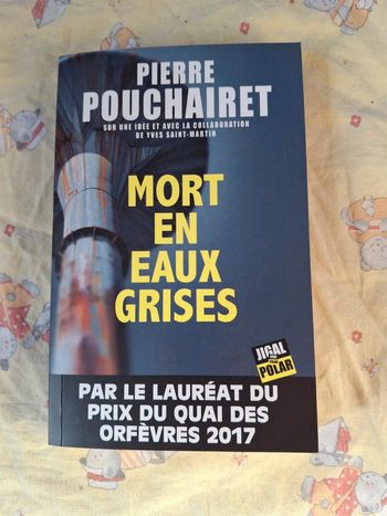 Mort en eaux grises pierre pouchairet