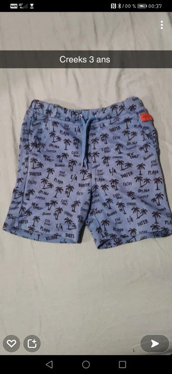 Short Creeks palmier