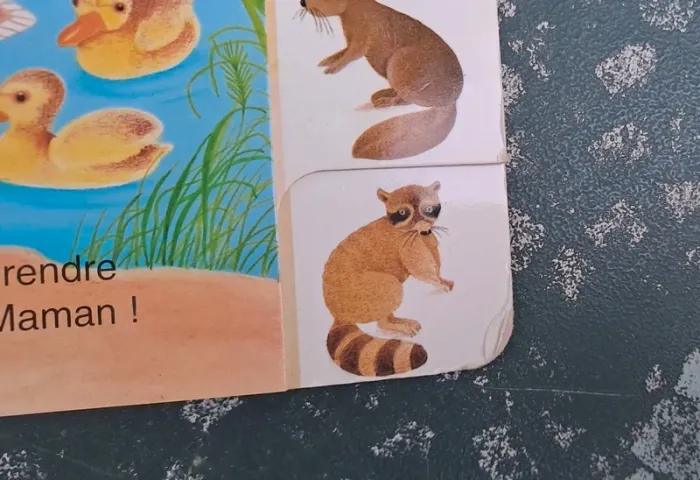 Livre les animaux vivants au bord de l'eau - photo numéro 5