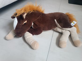 Peluche cheval 🐴🐎
