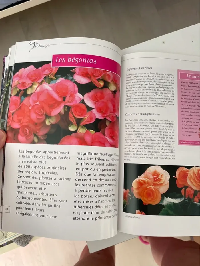 Le Jardinage simple et pratique - photo numéro 6