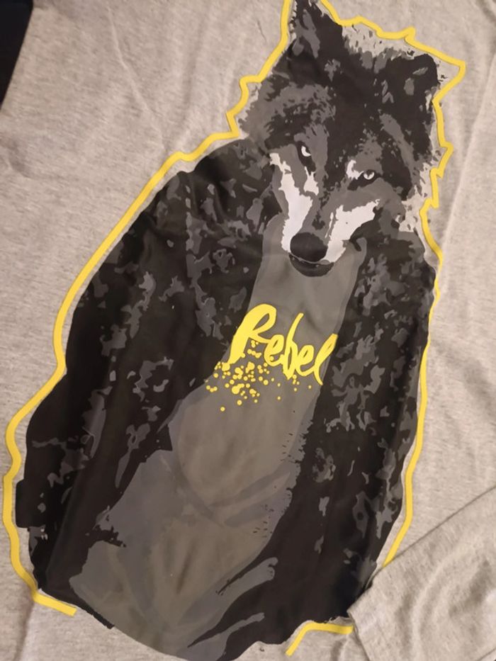 Tee shirt manches longues 14 ans - photo numéro 3