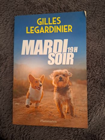 Roman de Gilles Legardinier Mardi soir 19h en bon état