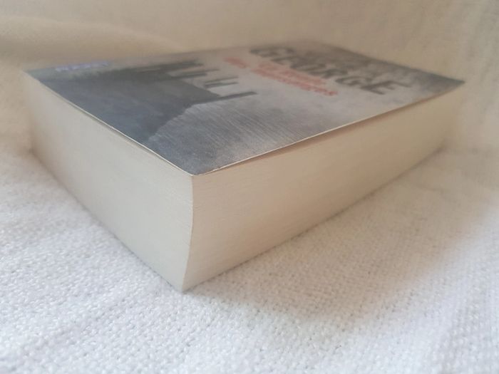 La ronde des mensonges d Elizabeth George - photo numéro 4