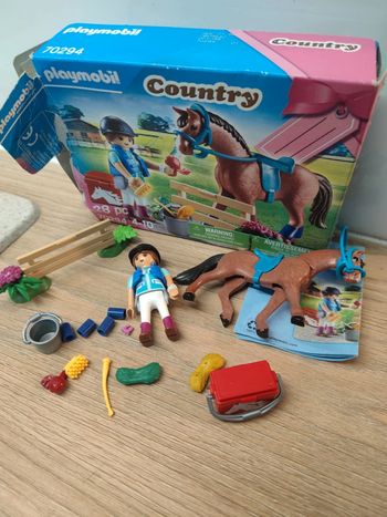 Playmobil 70294