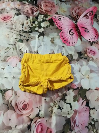 Short 68 cm