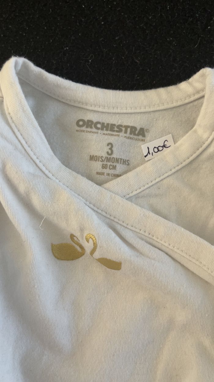 Bodie 3 mois - photo numéro 4