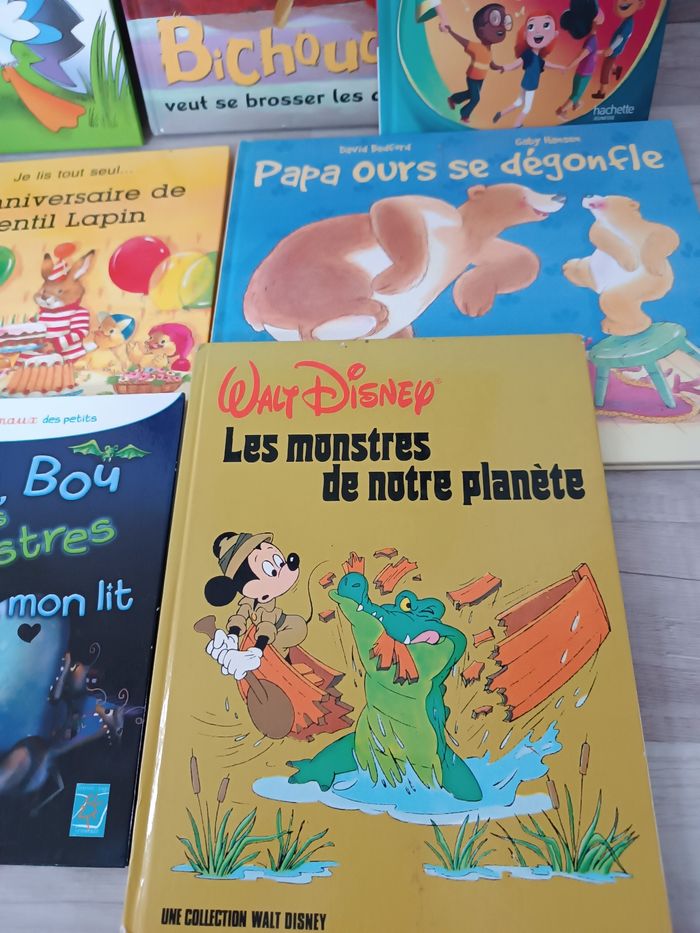 Lot de livres - photo numéro 4