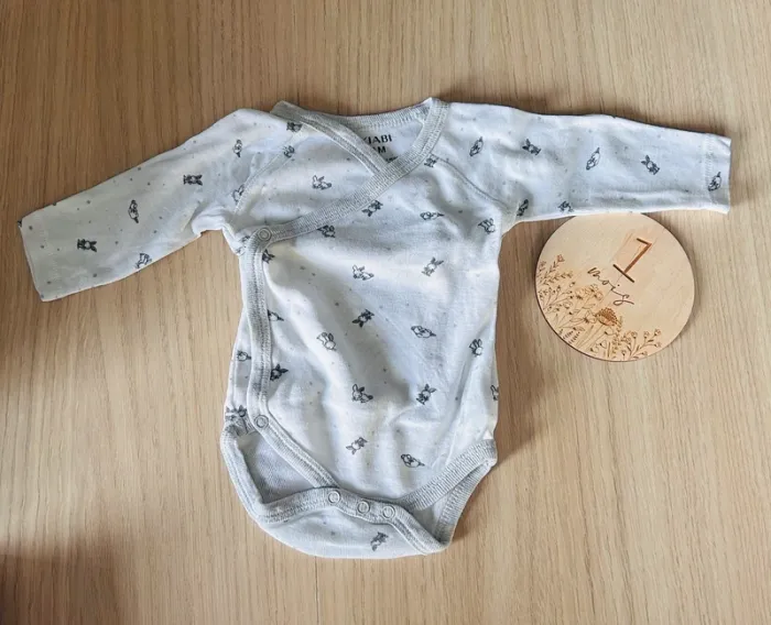 Lot de 2 bodys - photo numéro 2