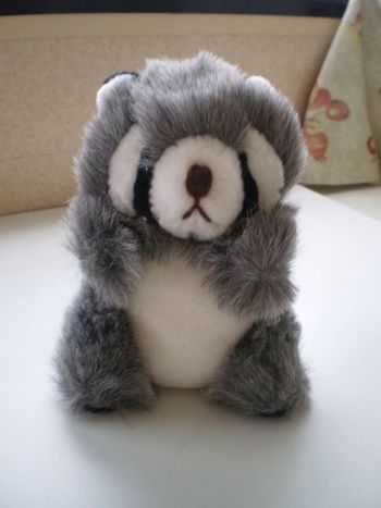 peluche raton laveur , non utilisé