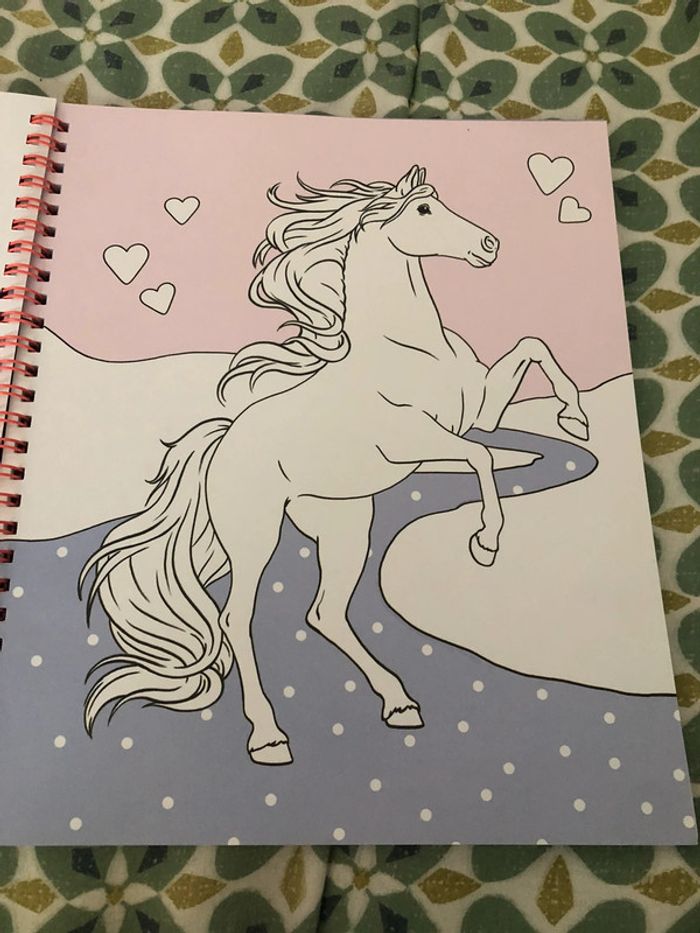Livre de coloriage miss Mélody - photo numéro 5