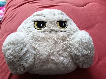 Coussin Hedwige