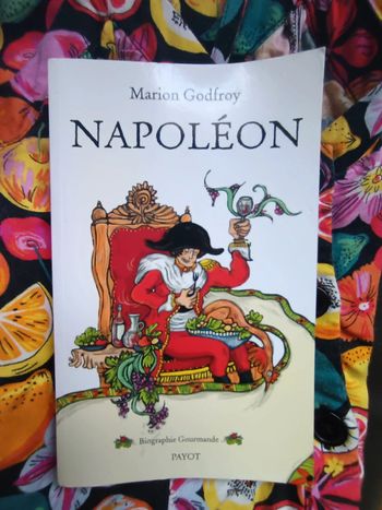 Livre Napoléon Marion Godefroy