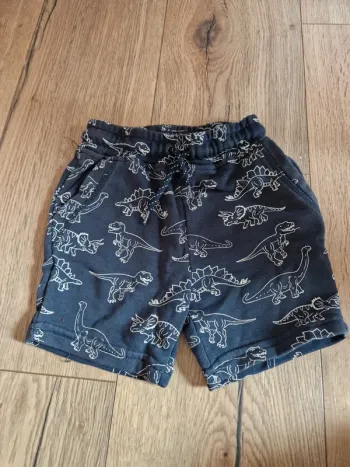 Short dinosaures