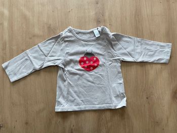 TEE shirt coccinelle