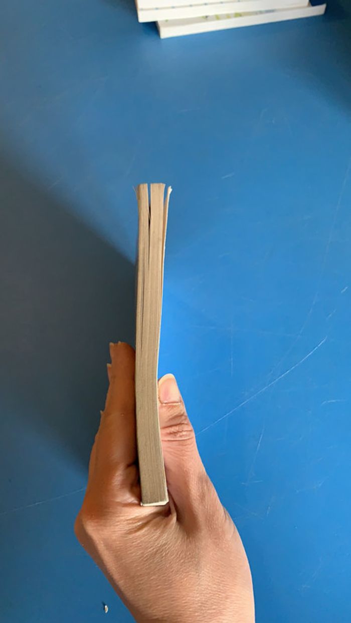 Livre Un Secret de Philippe Grimbert - photo numéro 3