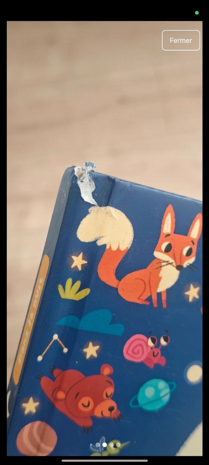 Lots livres cherche et trouve - photo numéro 5