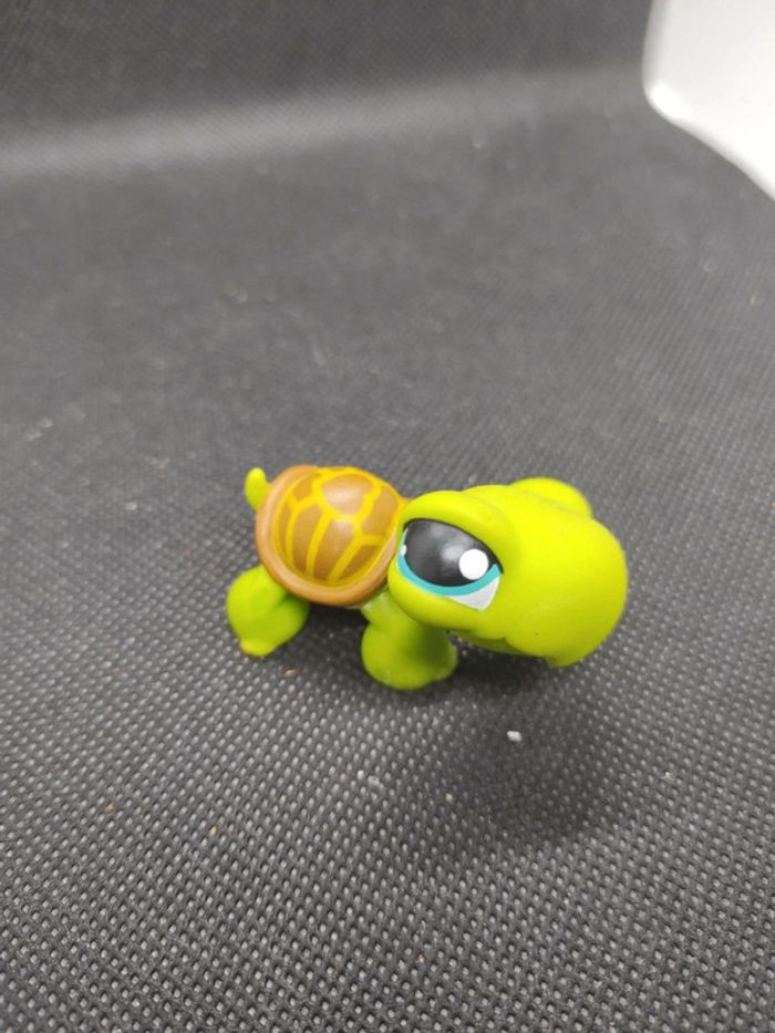 Littlest Petshop LPS tortue turtle 230 hasbro #geektradelpstortue