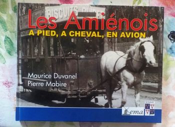 LES AMIENOIS T2 A PIED, A CHEVAL, EN AVION par M. DUVANEL et P. MABIRE Ed. Ema