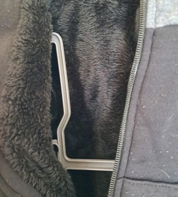 Veste 4 ans - photo numéro 3