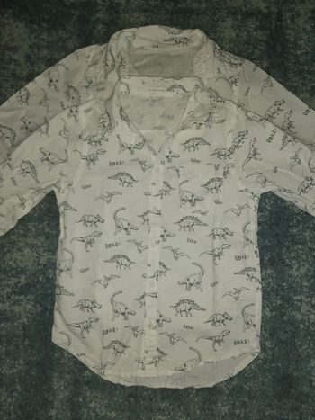 Lot chemise dinosaure jumeaux