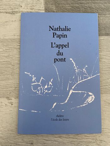 Livre Nathalie Papin l’appel du pont