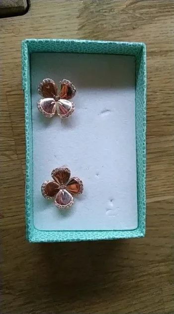 Boucles d'oreilles en  or rose