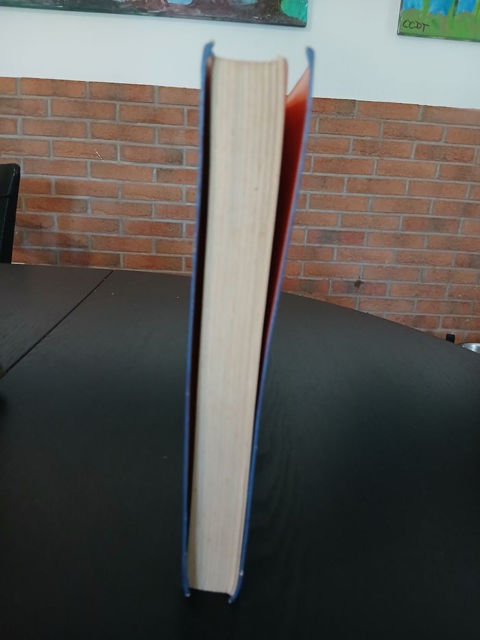 Livre Jeunesse Mille ans de Frissons - photo numéro 3