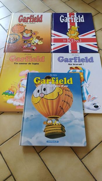 bd garfield
