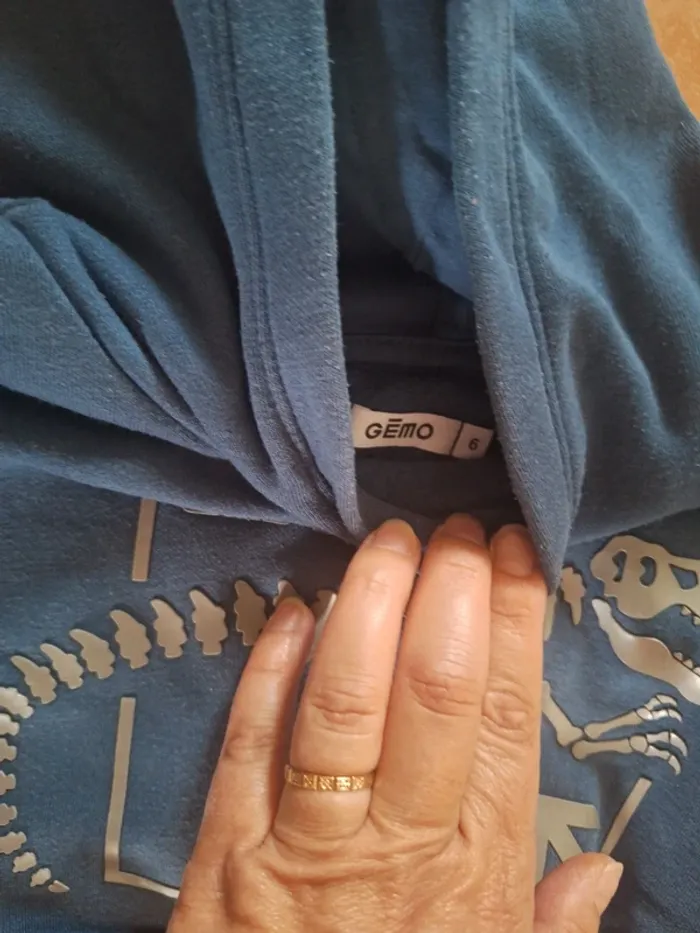 Sweat a capuche - photo numéro 5
