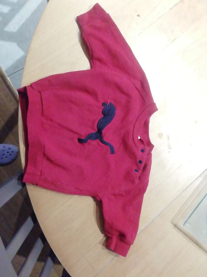 Pull bébé