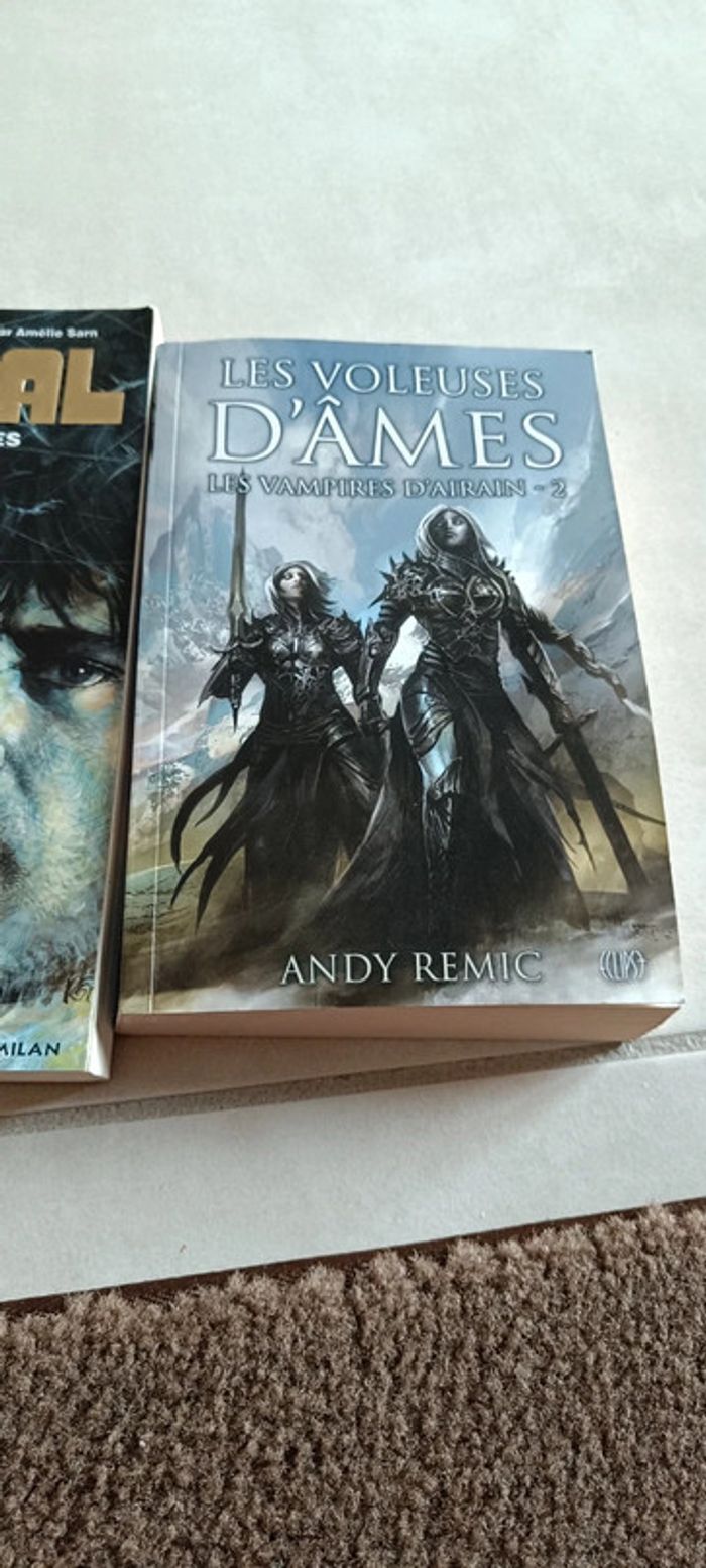 Lot 2 romans - photo numéro 3