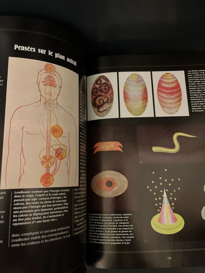 Attention à ne pas mettre entre toutes les mains ! 3 livres ésotériques - photo numéro 10