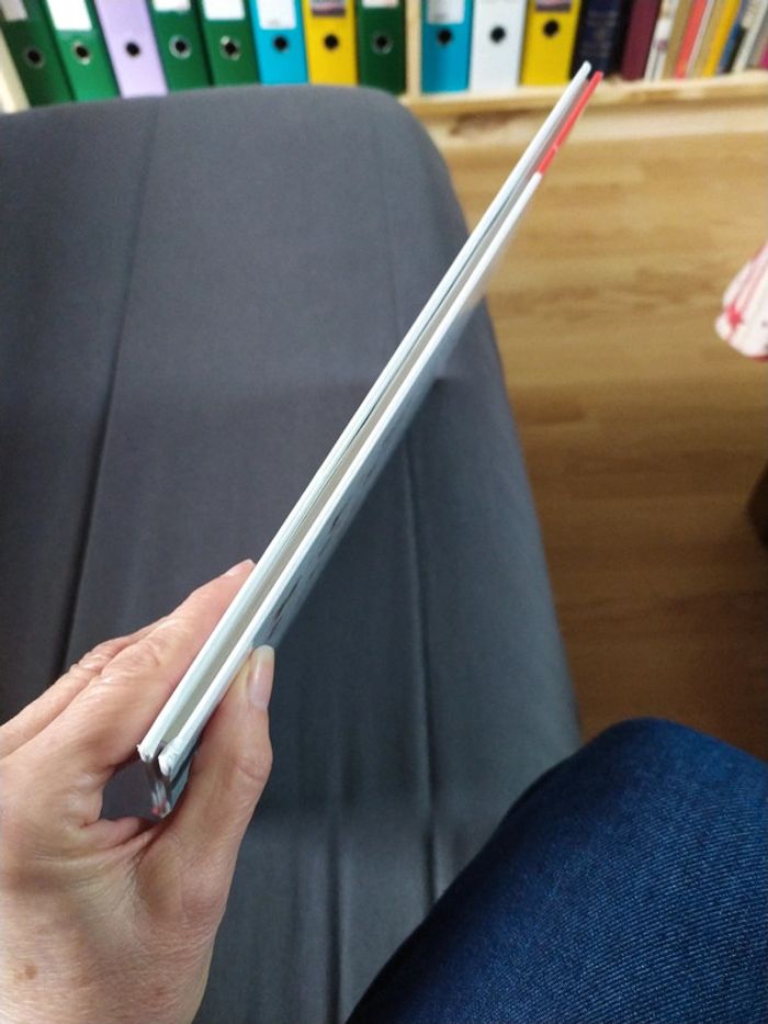 Le guide de la Drague de Tybo - Goupil - photo numéro 6