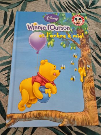 Livre winnie l'ourson