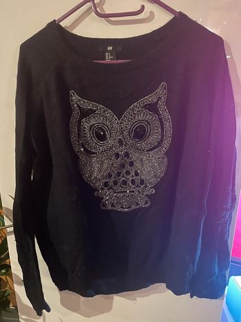 Pull H&M hibou