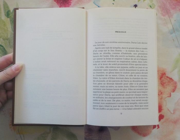 L'ENFANT DE L'ETE de Diane CHAMBERLAIN Ed. France Loisirs - photo numéro 4