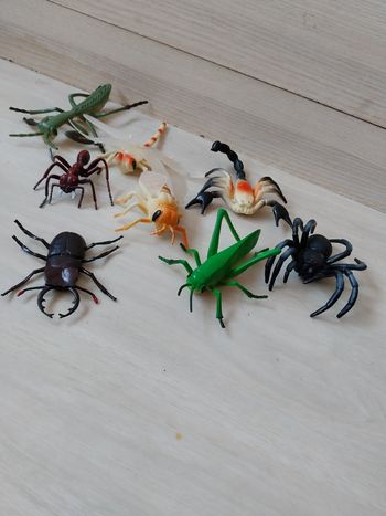 Lot insecte