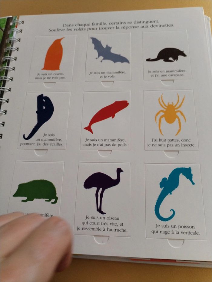 Explore les animaux 78 - photo numéro 9