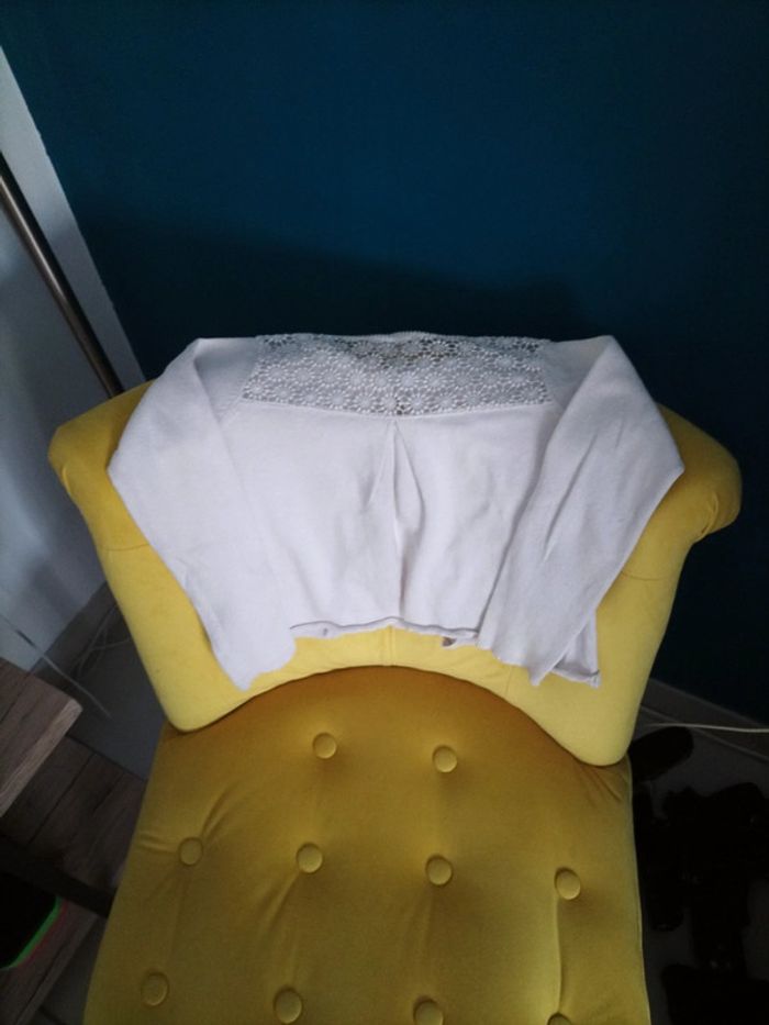 Gilet. - photo numéro 3