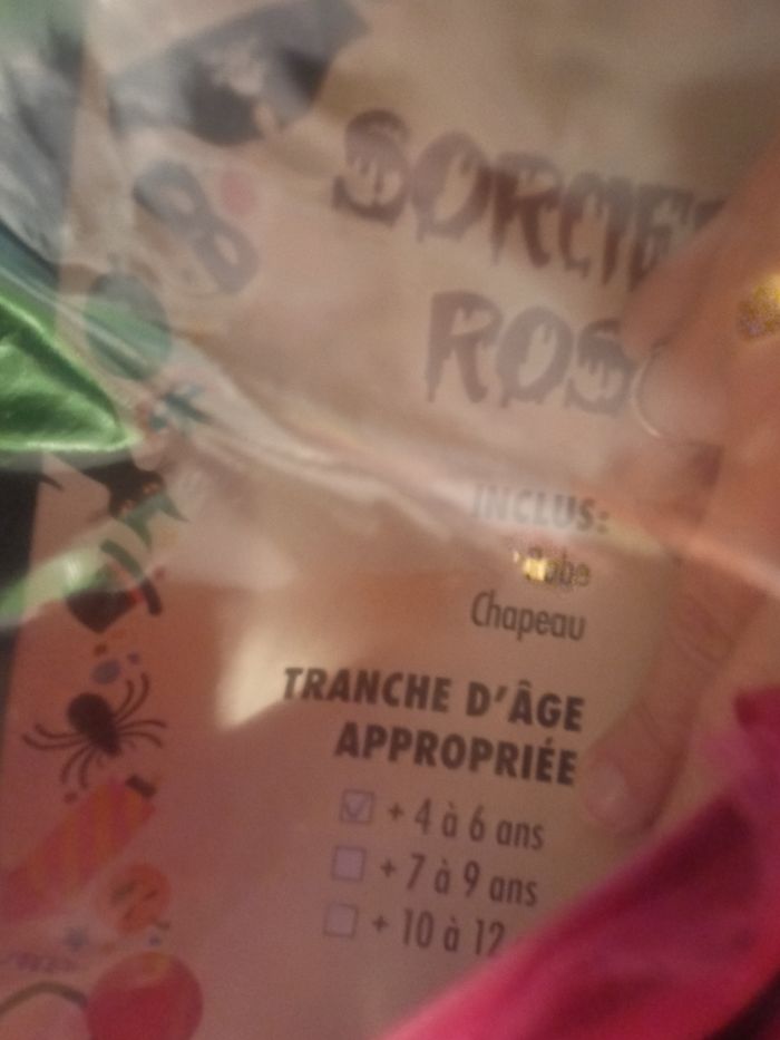 Déguisement sorcière fille - photo numéro 2