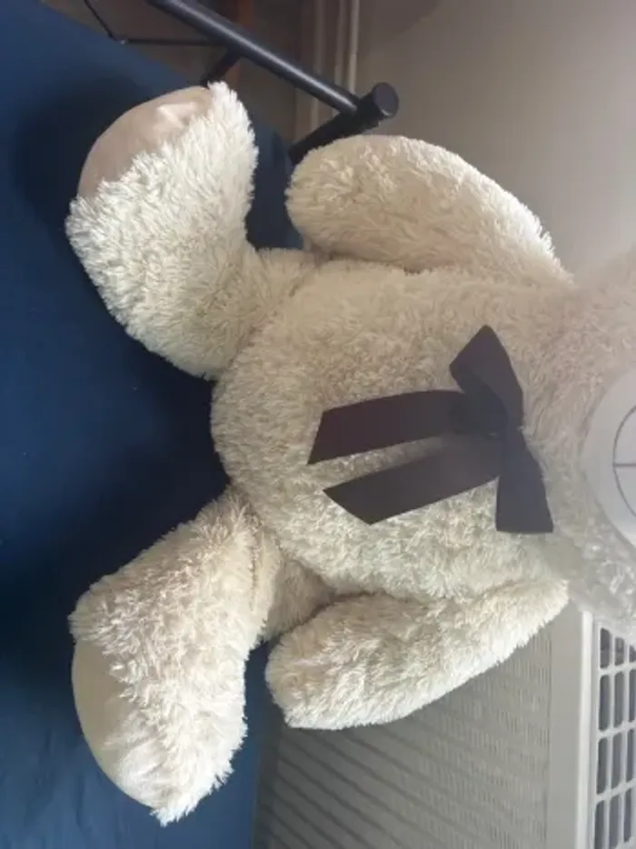 Peluche - photo numéro 3