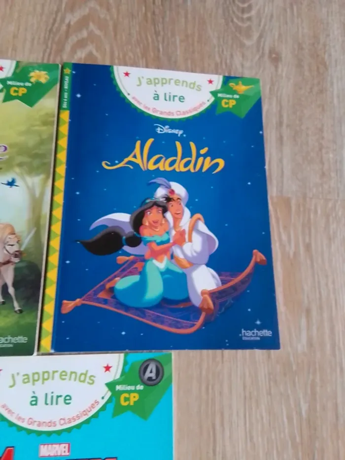 Sami et Julie milieu de cp disney - photo numéro 3