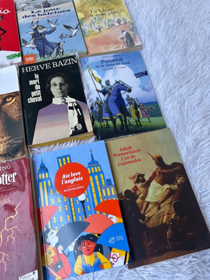 Lot de livres classique, collège et lycée - photo numéro 3